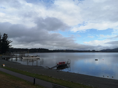 IMG_20200321_164110.jpg